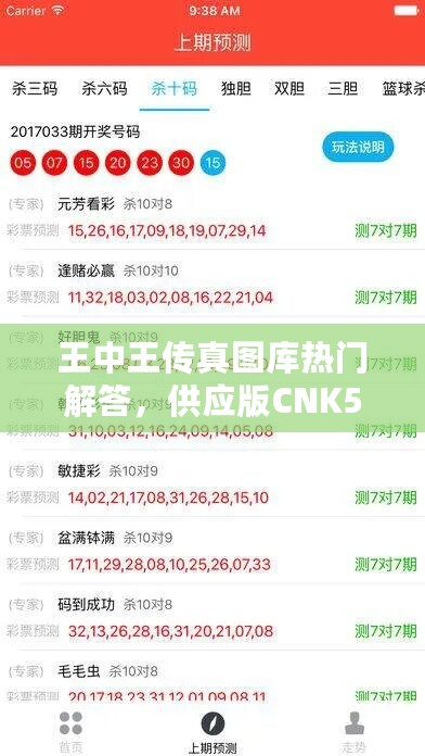 王中王传真图库热门解答，供应版CNK575.39