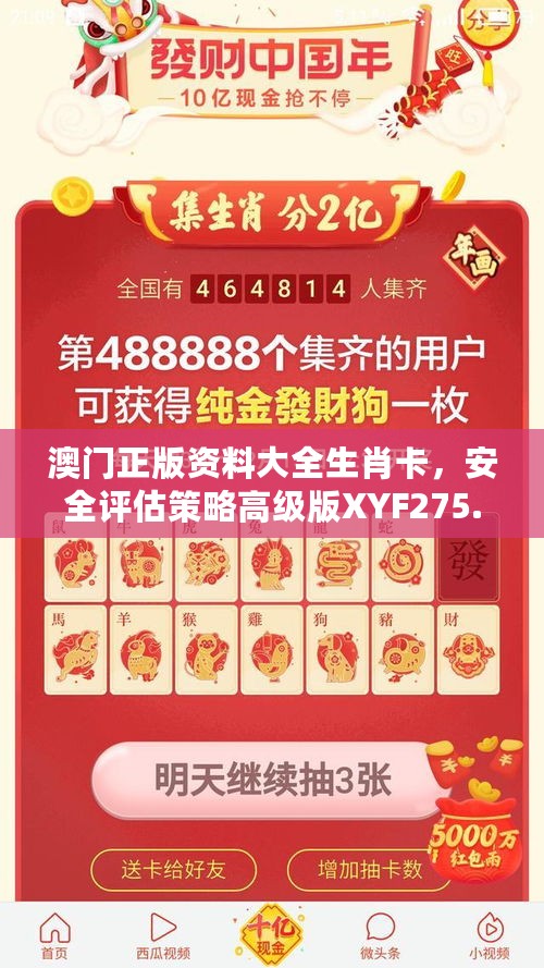 澳门正版资料大全生肖卡，安全评估策略高级版XYF275.2