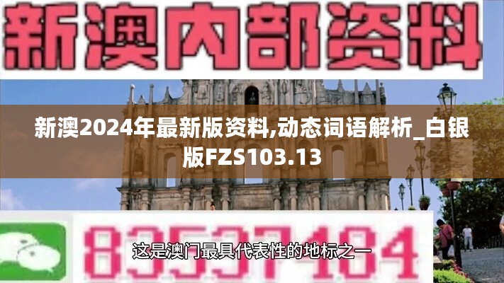 新澳2024年最新版资料,动态词语解析_白银版FZS103.13