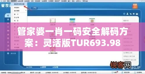 管家婆一肖一码安全解码方案：灵活版TUR693.98