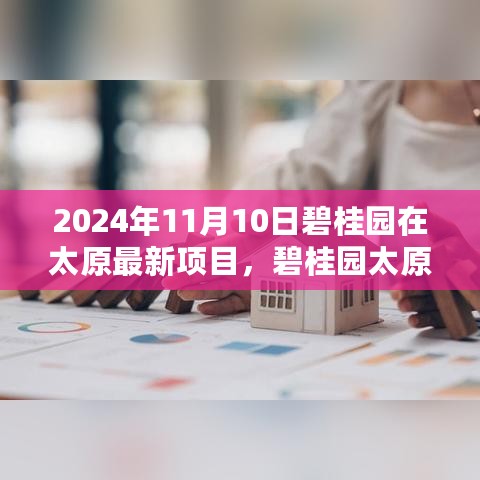 碧桂园太原新项目探秘，小巷深处的独特风情（2024年11月10日最新动态）