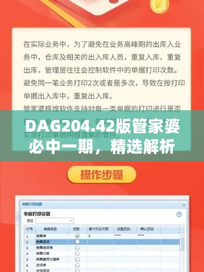 DAG204.42版管家婆必中一期，精选解析定义，付费专享