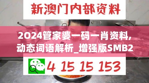 2O24管家婆一码一肖资料,动态词语解析_增强版SMB296.03