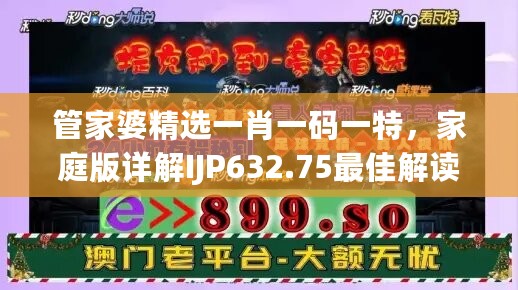 管家婆精选一肖一码一特，家庭版详解IJP632.75最佳解读