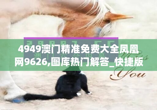 4949澳门精准免费大全凤凰网9626,图库热门解答_快捷版QXL237.84