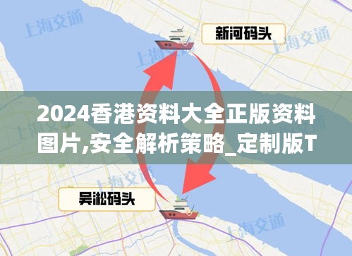 2024香港资料大全正版资料图片,安全解析策略_定制版THJ708.25