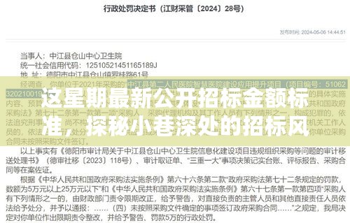 探秘小巷深处的招标风云，最新公开招标金额标准揭秘