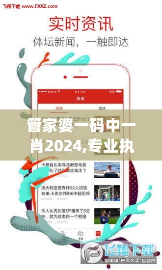 管家婆一码中一肖2024,专业执行问题_迷你版DFB808.51