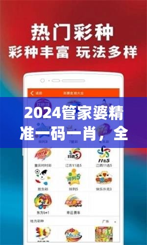 2024管家婆精准一码一肖，全新解析_升级版BMV48.65攻略