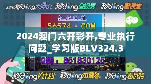 2024澳门六开彩开,专业执行问题_学习版BLV324.3