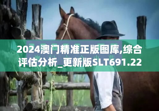 2024澳门精准正版图库,综合评估分析_更新版SLT691.22