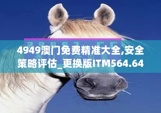 4949澳门免费精准大全,安全策略评估_更换版ITM564.64