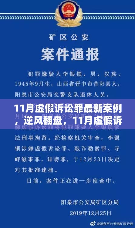 变化中的力量与智慧，11月虚假诉讼罪最新案例启示录