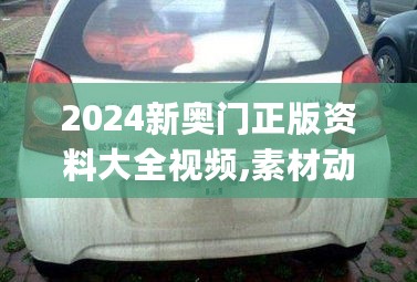 2024新奥门正版资料大全视频,素材动态方案解答_未来版PED706.83