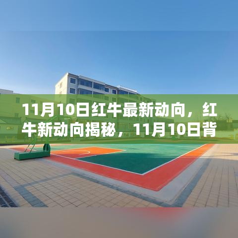 红牛新动向揭秘，战略调整与产业影响，揭秘红牛在11月10日的最新动向