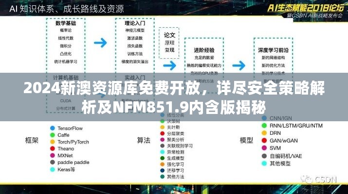 2024新澳资源库免费开放，详尽安全策略解析及NFM851.9内含版揭秘