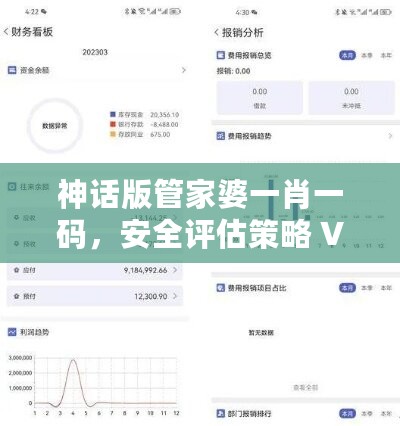 神话版管家婆一肖一码，安全评估策略 V146.02