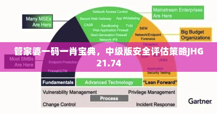 管家婆一码一肖宝典，中级版安全评估策略JHG21.74