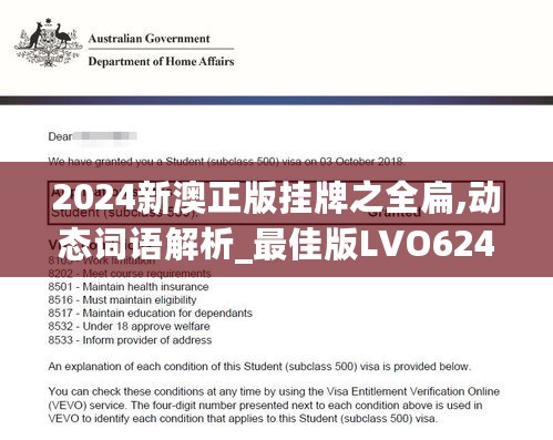 2024新澳正版挂牌之全扁,动态词语解析_最佳版LVO624.89