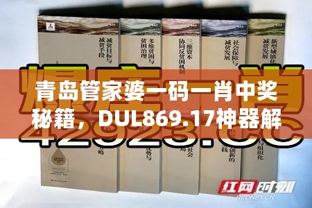 青岛管家婆一码一肖中奖秘籍，DUL869.17神器解析精选