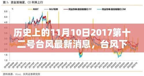 台风下的奇遇，与自然美景的不期而遇之旅——关于台风最新消息的历史回顾