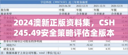 2024澳新正版资料集，CSH245.49安全策略评估全版本