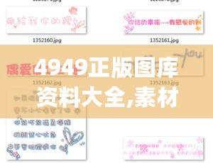 4949正版图库资料大全,素材动态方案解答_个性版SBN170.26