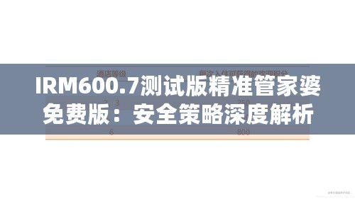 IRM600.7测试版精准管家婆免费版：安全策略深度解析与体验