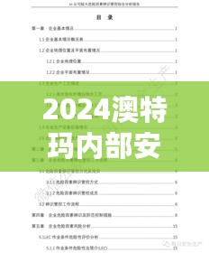 2024澳特玛内部安全评估报告：适中版KMF323.91策略指南