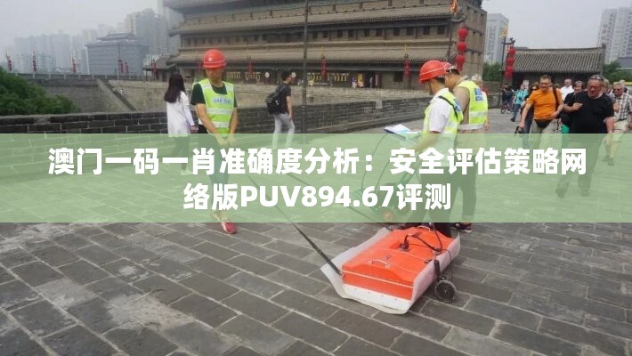 澳门一码一肖准确度分析：安全评估策略网络版PUV894.67评测