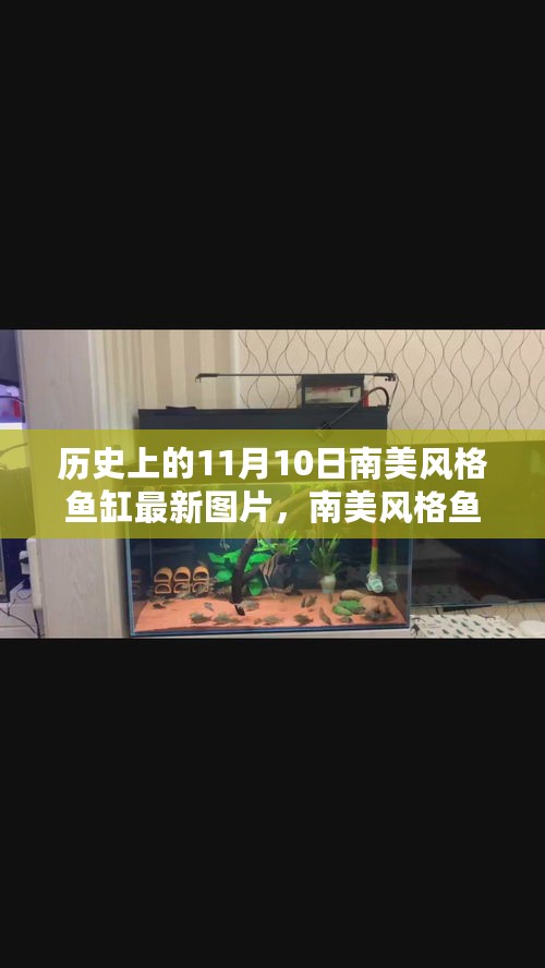 历史上的11月10日南美风格鱼缸，最新图片与产品评测介绍