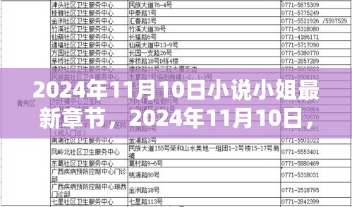 2024年11月10日小说小姐最新章节抢鲜阅读与独家预览