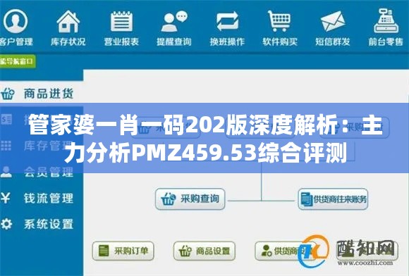 管家婆一肖一码202版深度解析：主力分析PMZ459.53综合评测