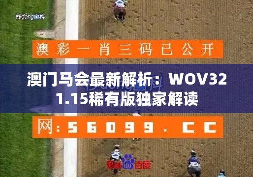 澳门马会最新解析：WOV321.15稀有版独家解读