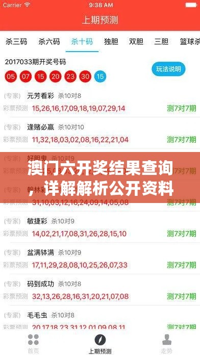 澳门六开奖结果查询，详解解析公开资料QIX604.58