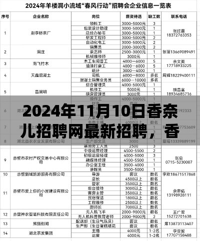 香奈儿招聘网，揭秘2024年11月10日盛况纪实，瞩目时刻的人才招募之旅