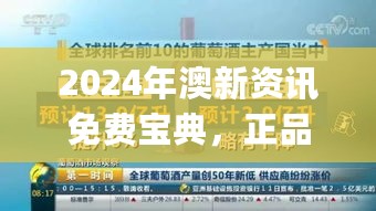 2024年11月12日 第94页