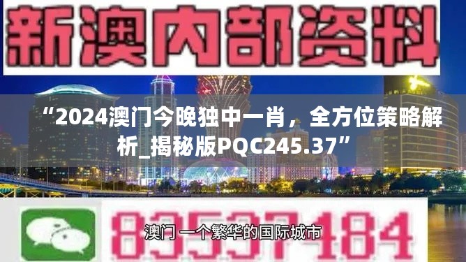 “2024澳门今晚独中一肖，全方位策略解析_揭秘版PQC245.37”