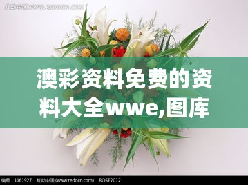 澳彩资料免费的资料大全wwe,图库动态赏析_高效版IFU251.47