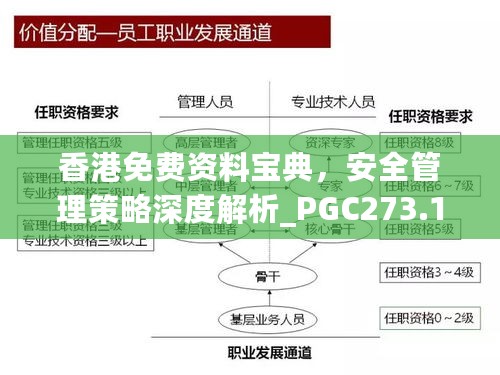 香港免费资料宝典，安全管理策略深度解析_PGC273.11版