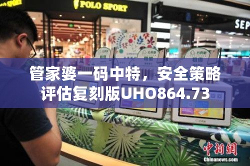 管家婆一码中特，安全策略评估复刻版UHO864.73