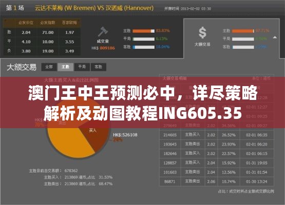 澳门王中王预测必中，详尽策略解析及动图教程ING605.35