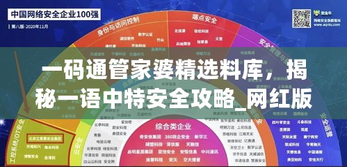 一码通管家婆精选料库，揭秘一语中特安全攻略_网红版XDT976.28