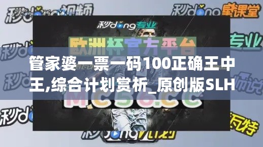 管家婆一票一码100正确王中王,综合计划赏析_原创版SLH347.02