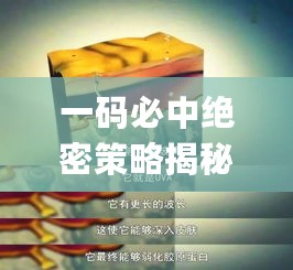 一码必中绝密策略揭秘：JEF887.24掌上解析，安全可靠老钱庄分享