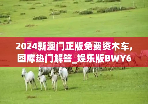 2024新澳门正版免费资木车,图库热门解答_娱乐版BWY663.69