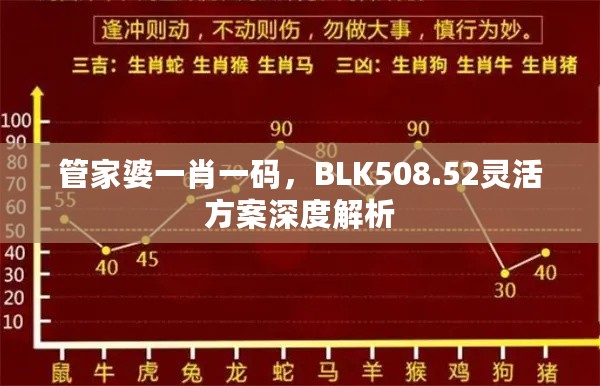 管家婆一肖一码，BLK508.52灵活方案深度解析