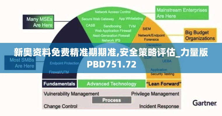 新奥资料免费精准期期准,安全策略评估_力量版PBD751.72