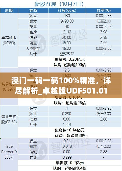 澳门一码一码100%精准，详尽解析_卓越版UDF501.01