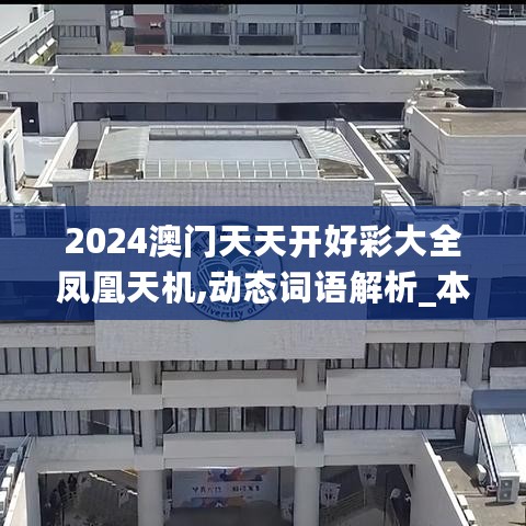 2024澳门天天开好彩大全凤凰天机,动态词语解析_本地版MSL402.06